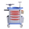 Xe đẩy tiêm cấp cứu 850 (xanh) Model: QJ51G